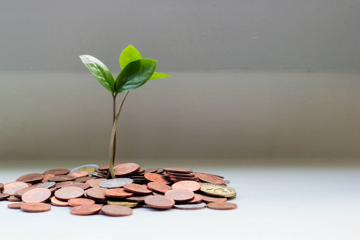 Financial advisory investment advisory Dubai